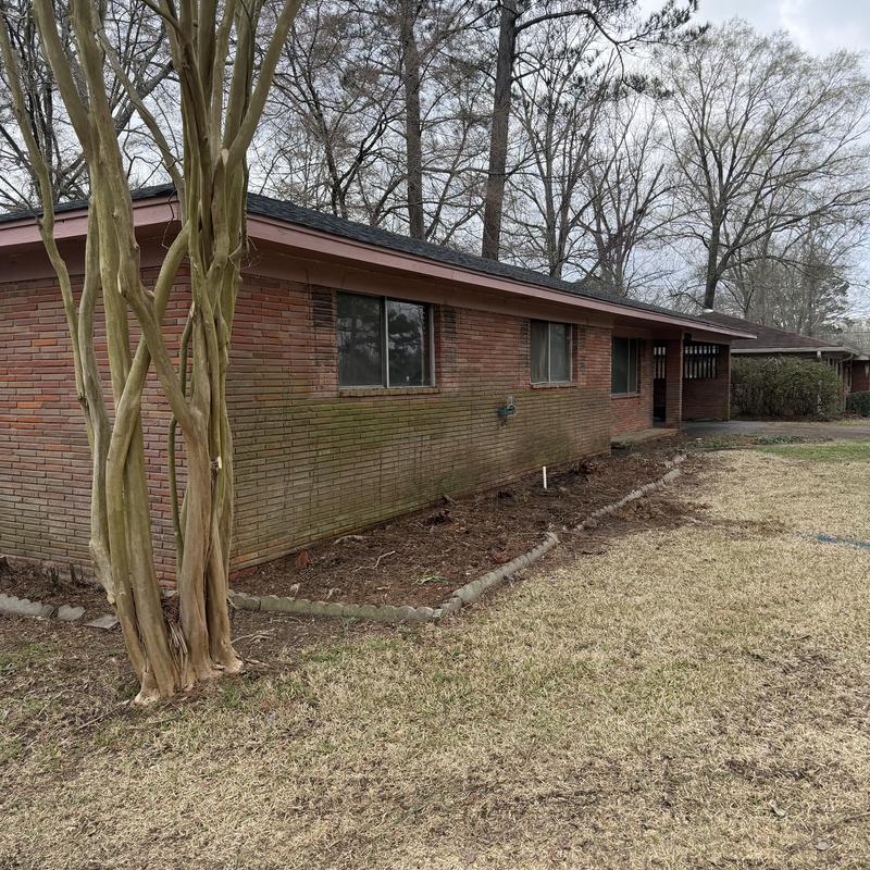 Brick exterior wall with moss and dirt buildup