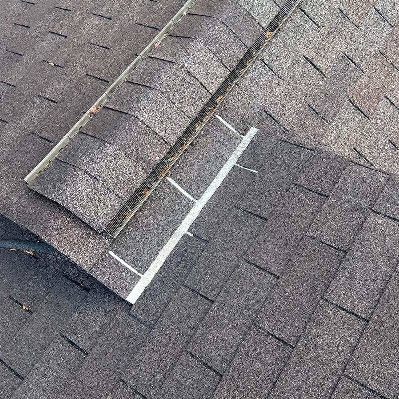 Asphalt roof shingles with ridge vent and insect guard