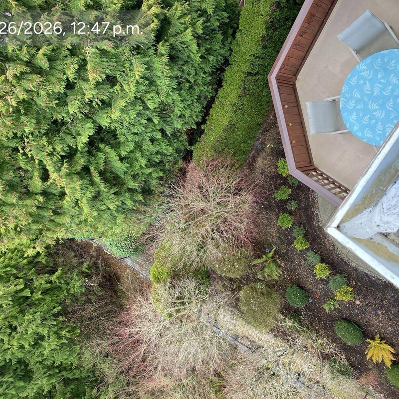 Patio with table and chairs beside landscaped garden
