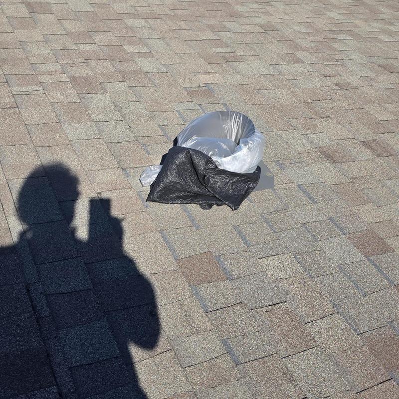 Asphalt shingles on roof with hail damage inspection