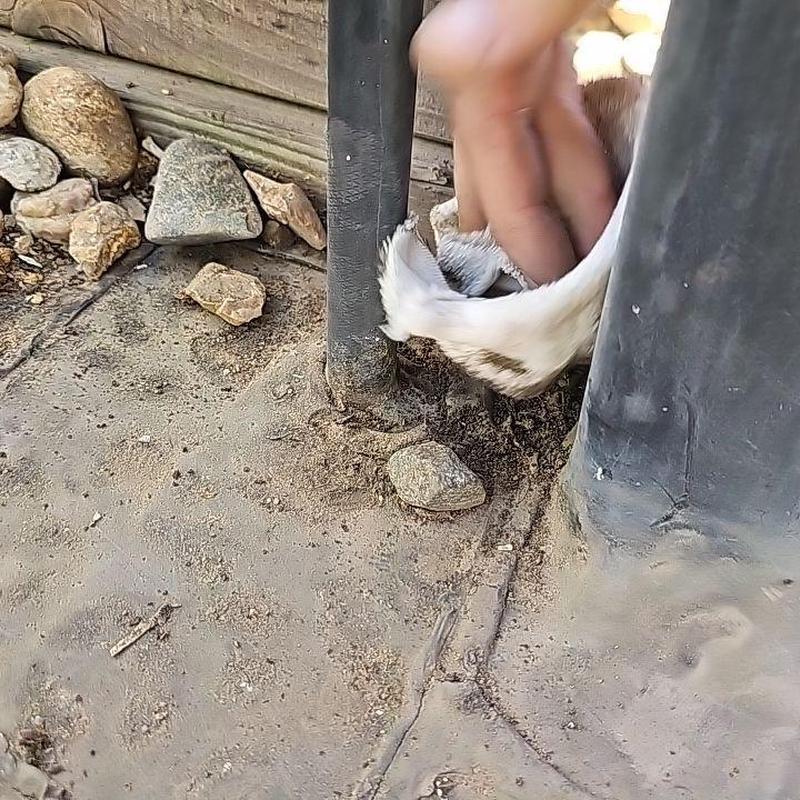 EPDM flat roof corner with silicone patch repair EPDM flat roof corner with silicone patch repair