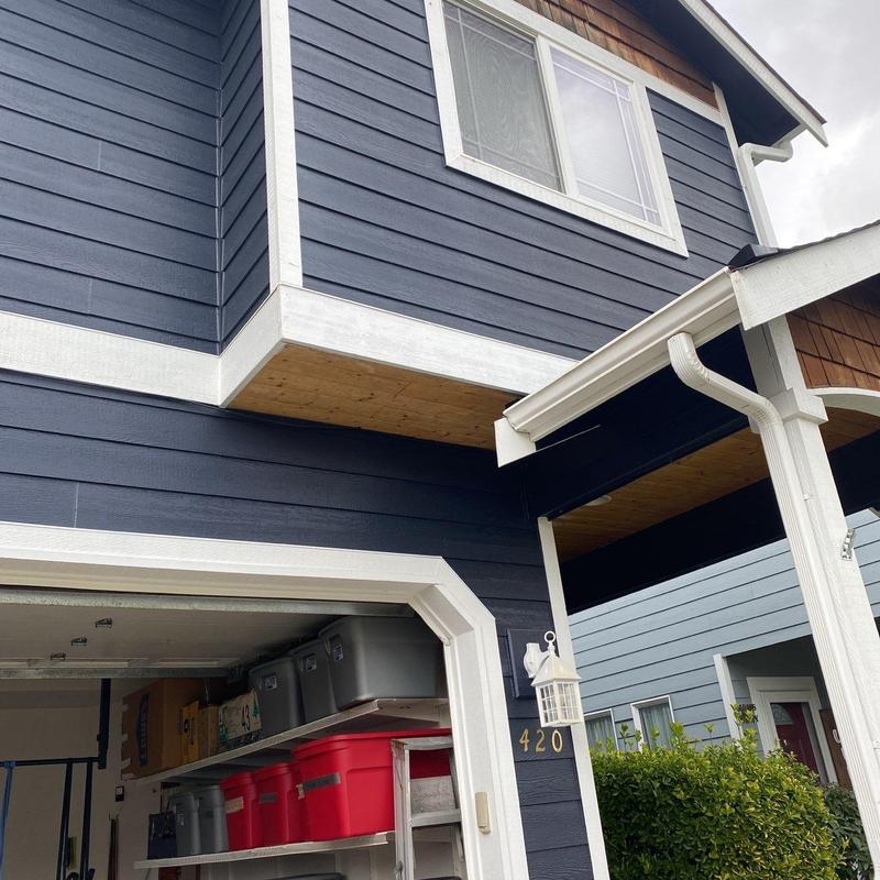 Fascia board replacement and gutter support in Arlington