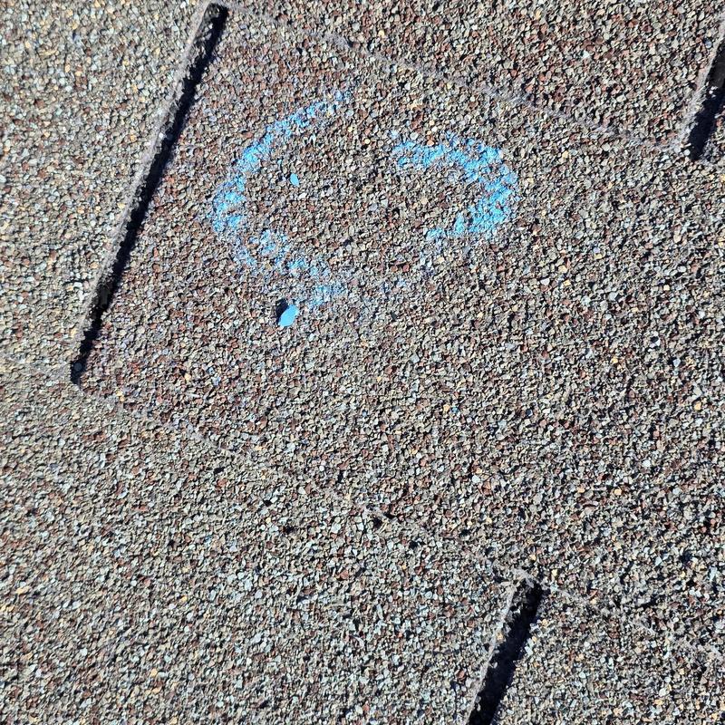 Asphalt shingle with hail damage marked in blue