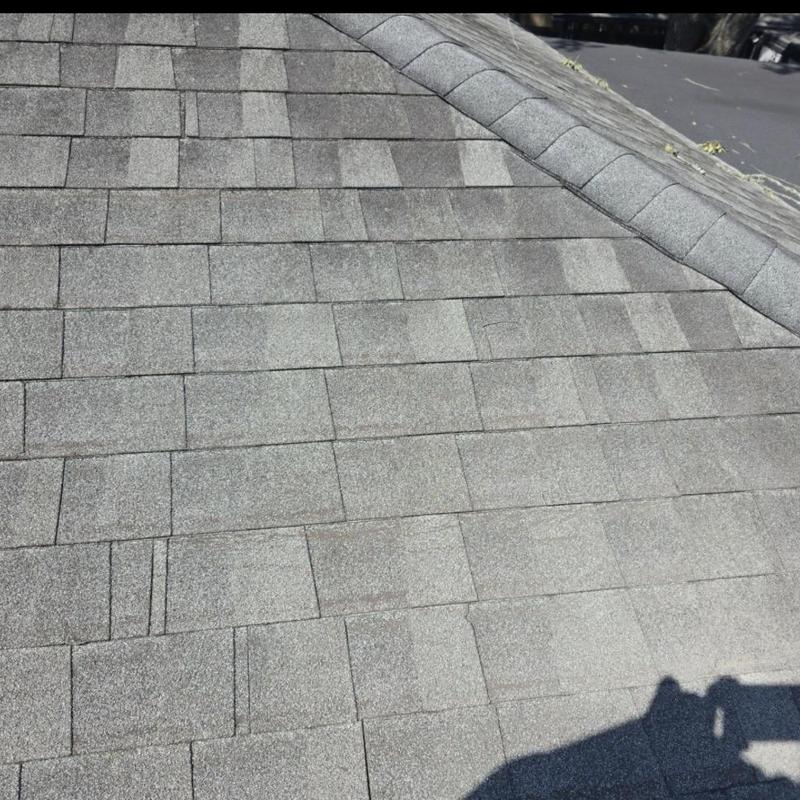 Asphalt shingles with wind damage and granule loss