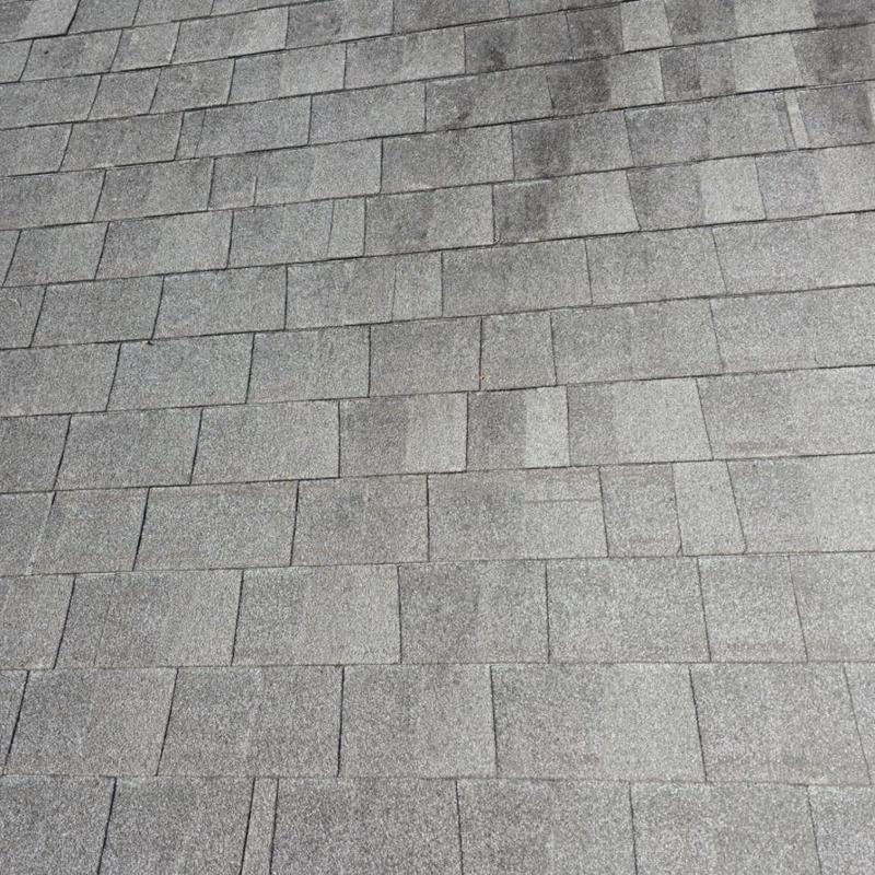 Asphalt shingles with granule loss and staining