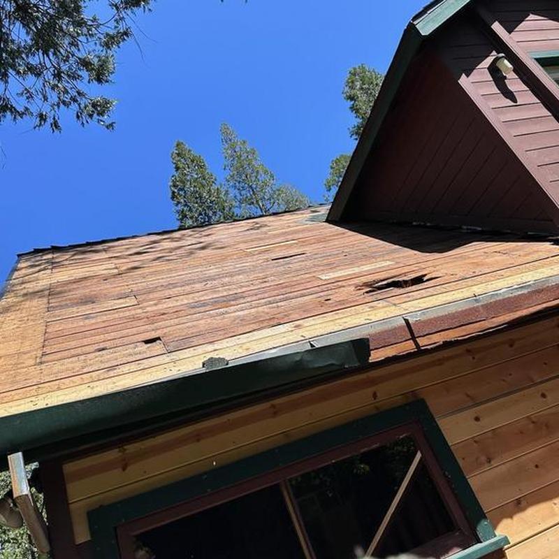 Wood roof decking with tree damage removal in Sonora, CA