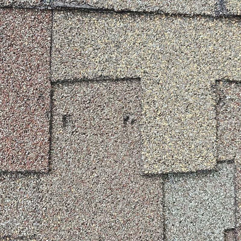 Shingle roof granules with hail damage close-up Shingle roof granules with hail damage close-up