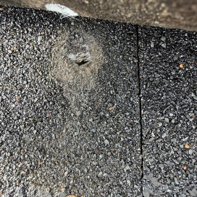 Asphalt roof shingle with hole damage and missing granules