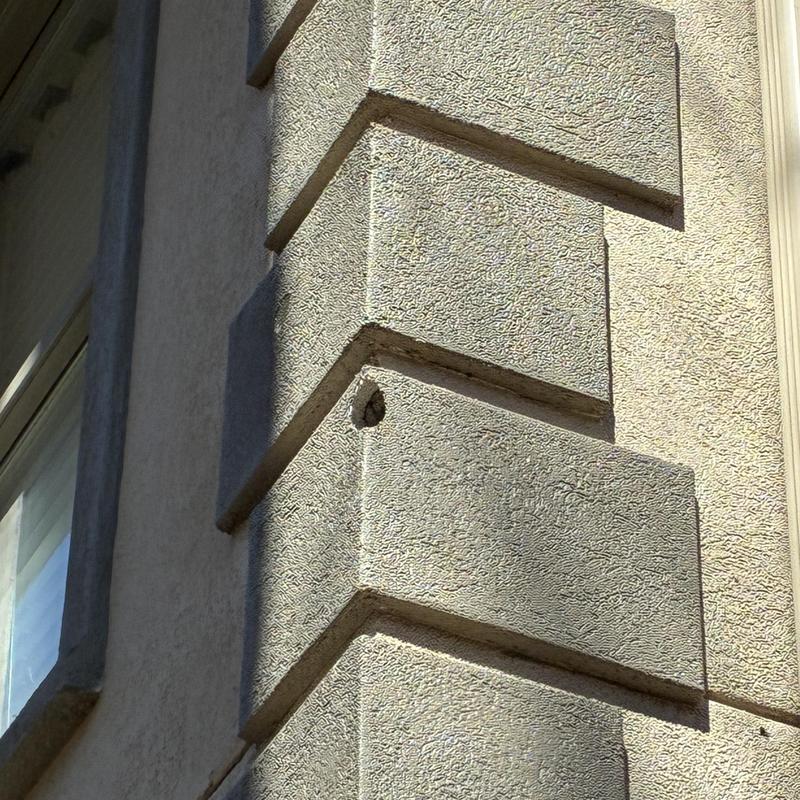 Stucco exterior wall with bird damage hole
