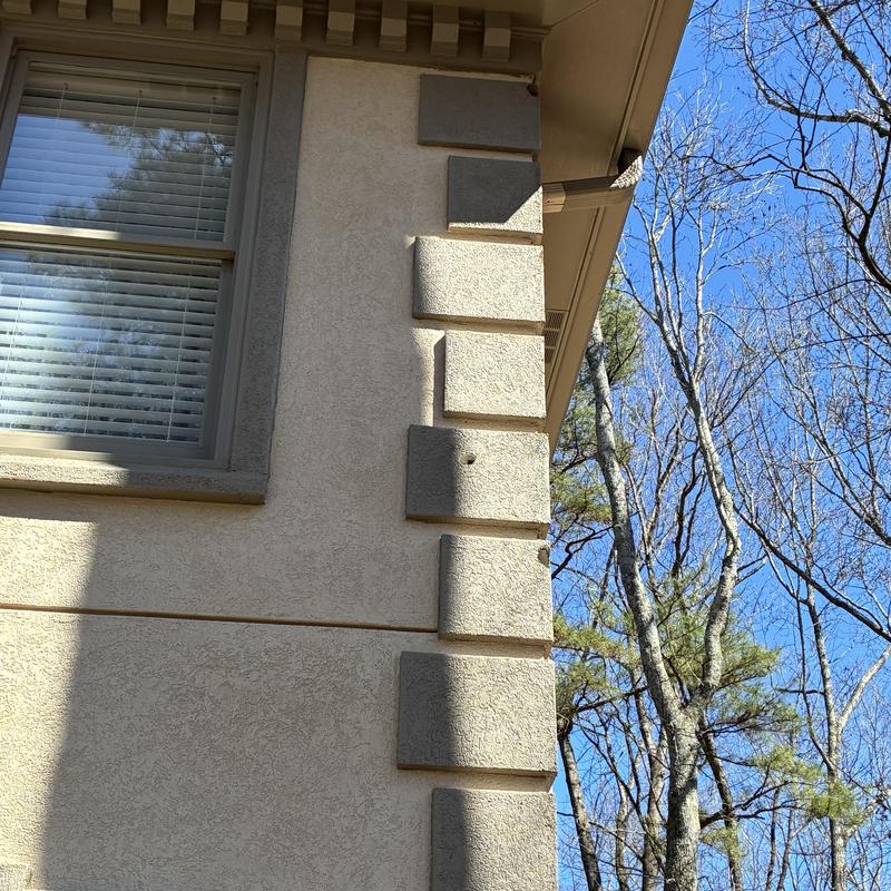 Stucco exterior wall with bird damage holes