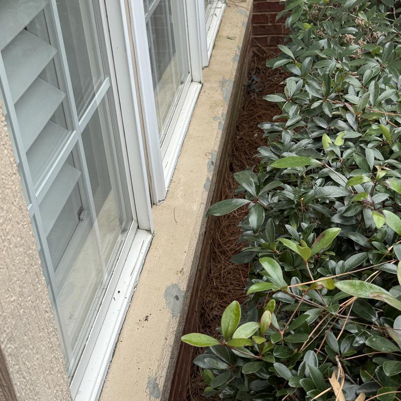 Stucco holes beside window sill and shrubbery