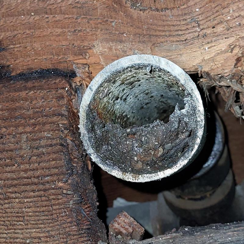 Shower drain pipe clogged with hair and debris buildup
