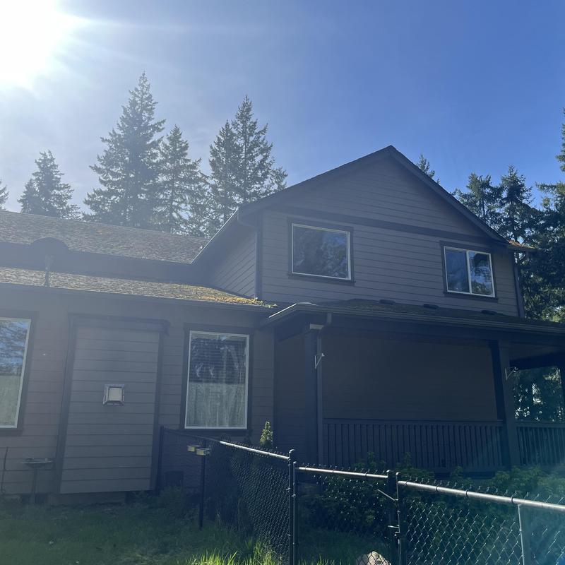 Roof moss buildup on residential house exterior Roof moss buildup on residential house exterior