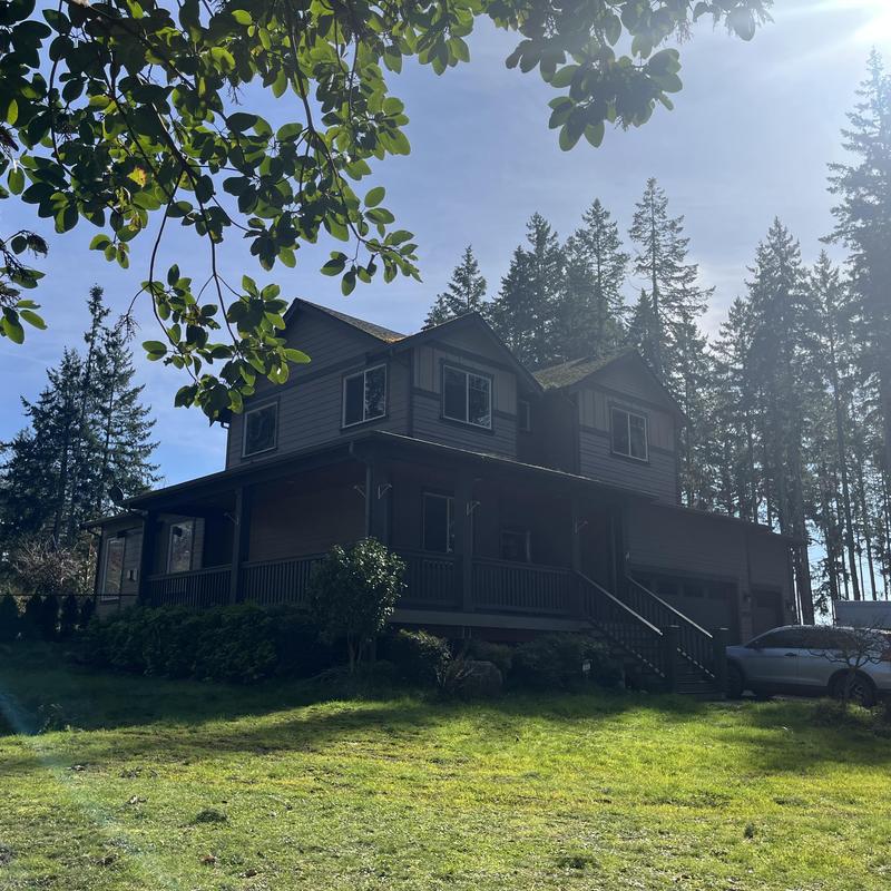 Roof with moss growth on shingles under sunlight Roof with moss growth on shingles under sunlight