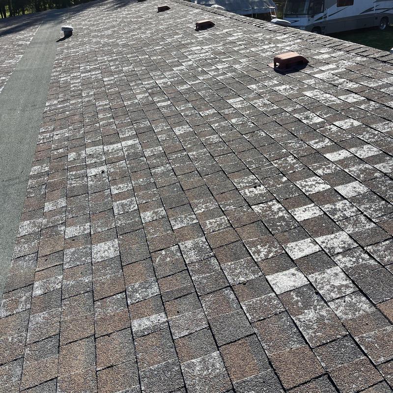 Asphalt shingles with granule loss on roof surface Asphalt shingles with granule loss on roof surface