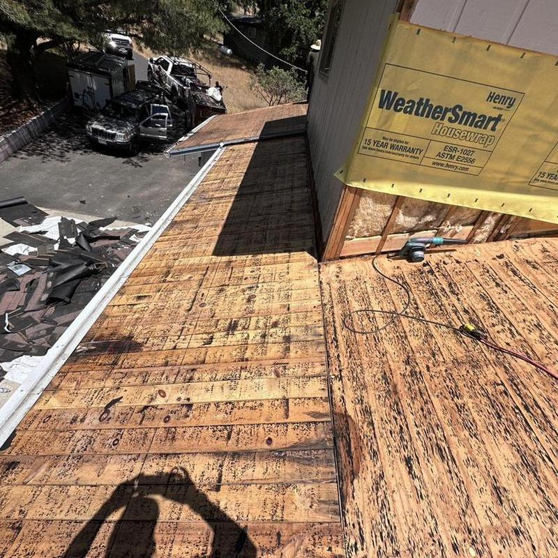 Asphalt Roof Deck with Dry Rot Replacement in Progress