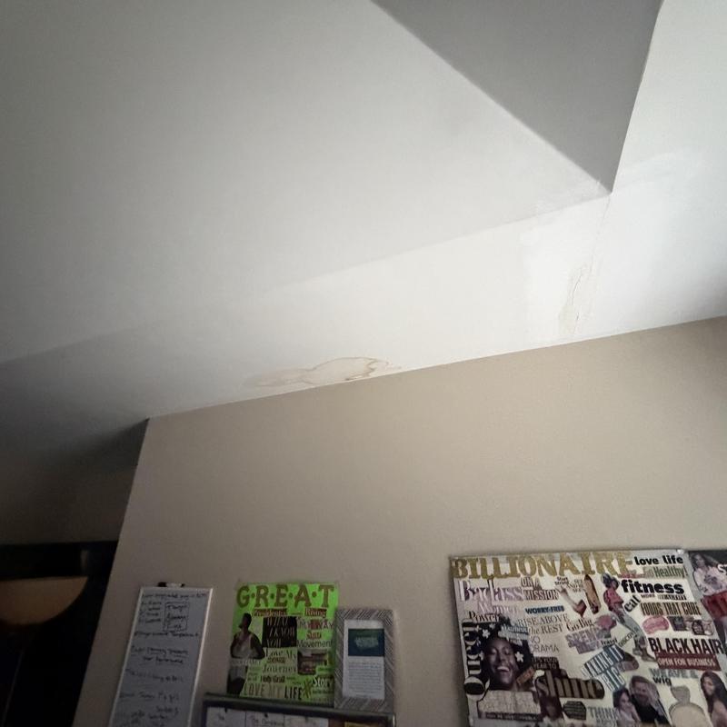 Ceiling water stains from roof leak damage