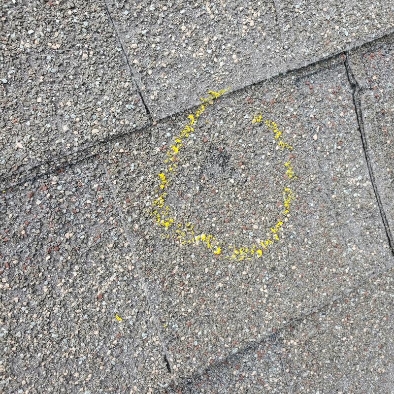 Asphalt shingle roof with hail damage marked in yellow