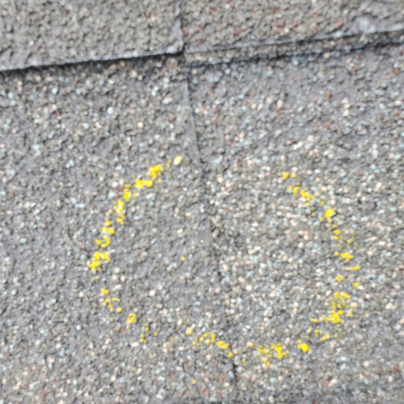 Asphalt roof shingle with hail damage marked in yellow