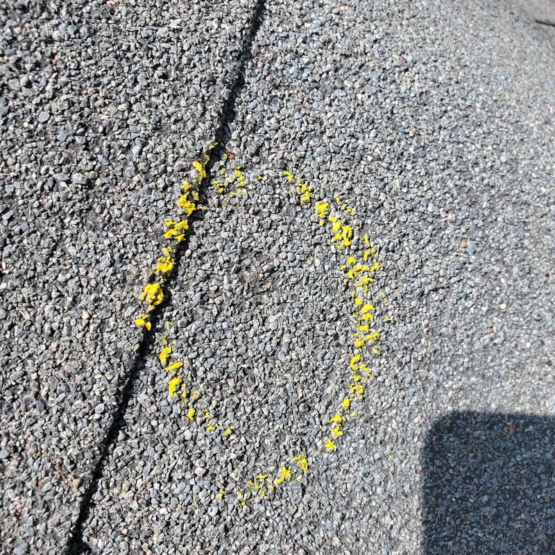 Asphalt shingle roof hail damage marked with yellow paint