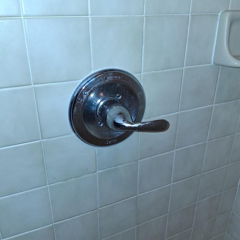 Shower valve handle and chrome trim plate on tiled wall