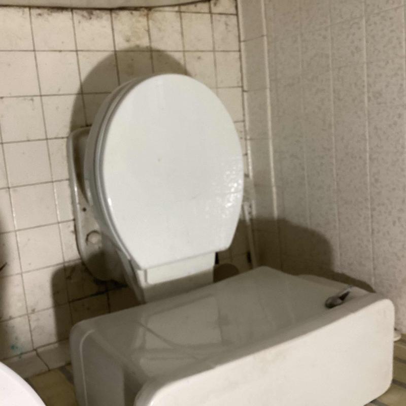 Toilet with replaced fill valve and unclogged bowl