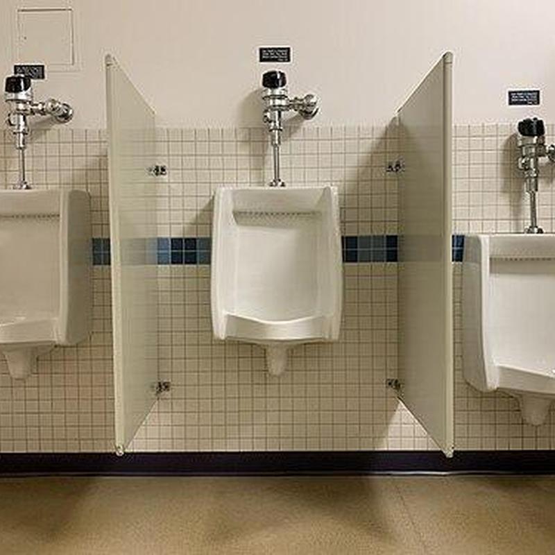 Men's urinal with flush valve and privacy partitions