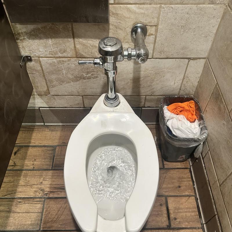 Sloan valve and toilet flushing in restaurant restroom
