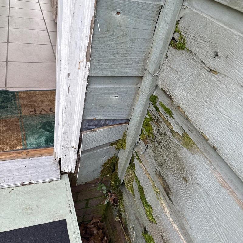 Wood siding with moss growth and paint damage