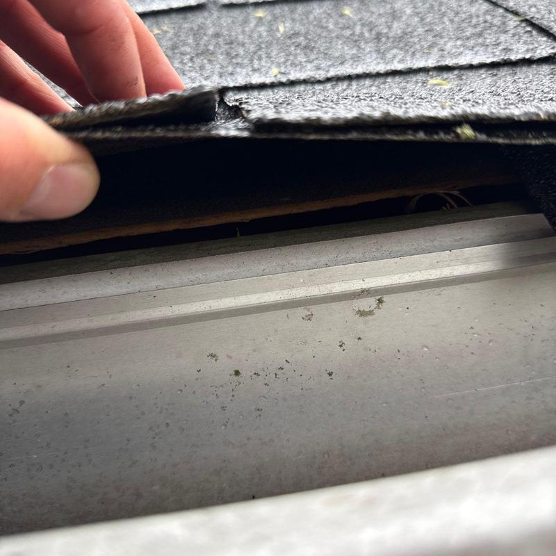 Shingle roof lifted to show underlayment and decking