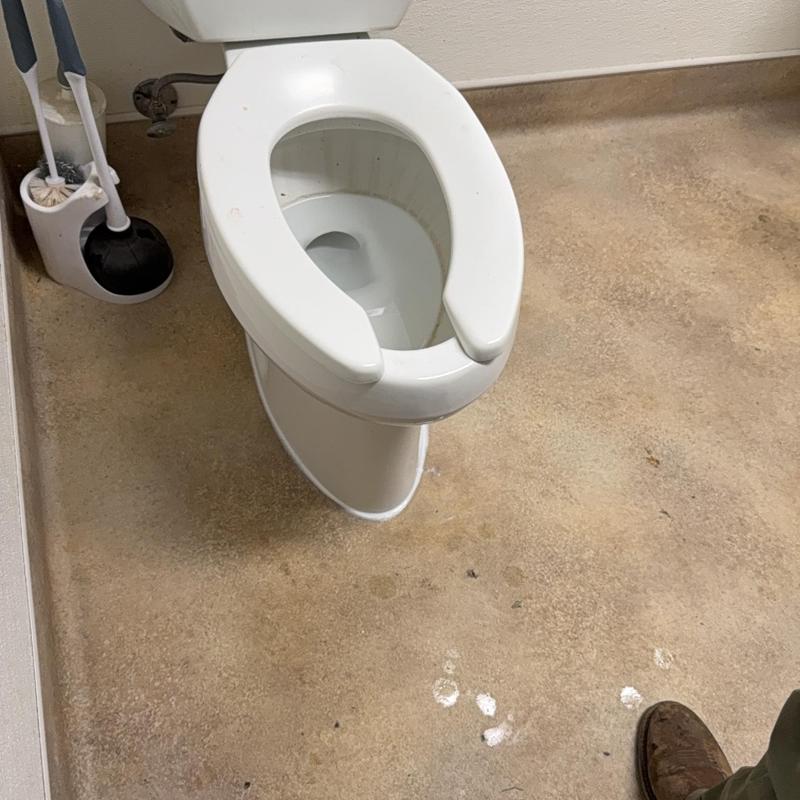 Commercial toilet base caulked, inspected for leaks