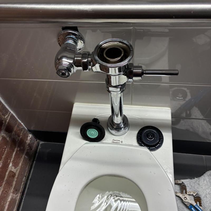 Sloan flushometer toilet diaphragm assembly replacement