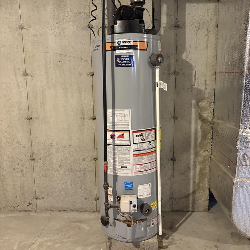 Power vented water heater with replaced anode rod