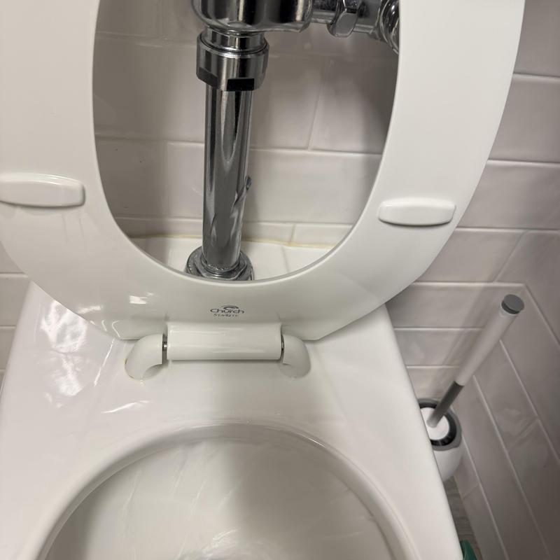 Commercial toilet flush pipe and bowl with brush nearby