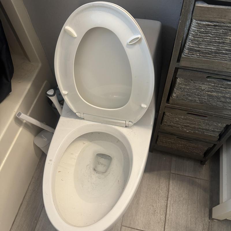 Toilet bowl with open lid in bathroom setting