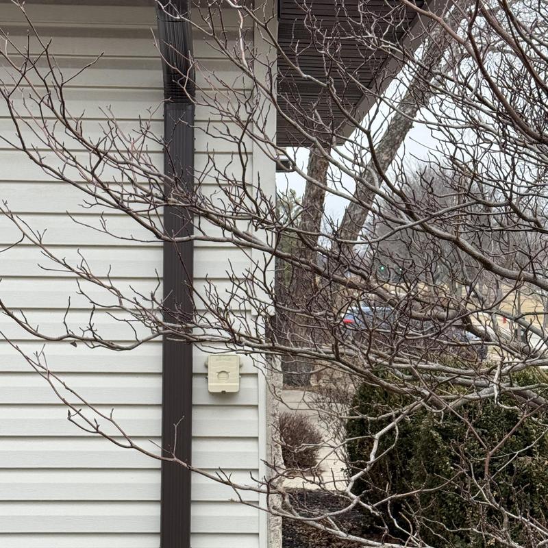 Gutter downspout and house exterior with tree branches