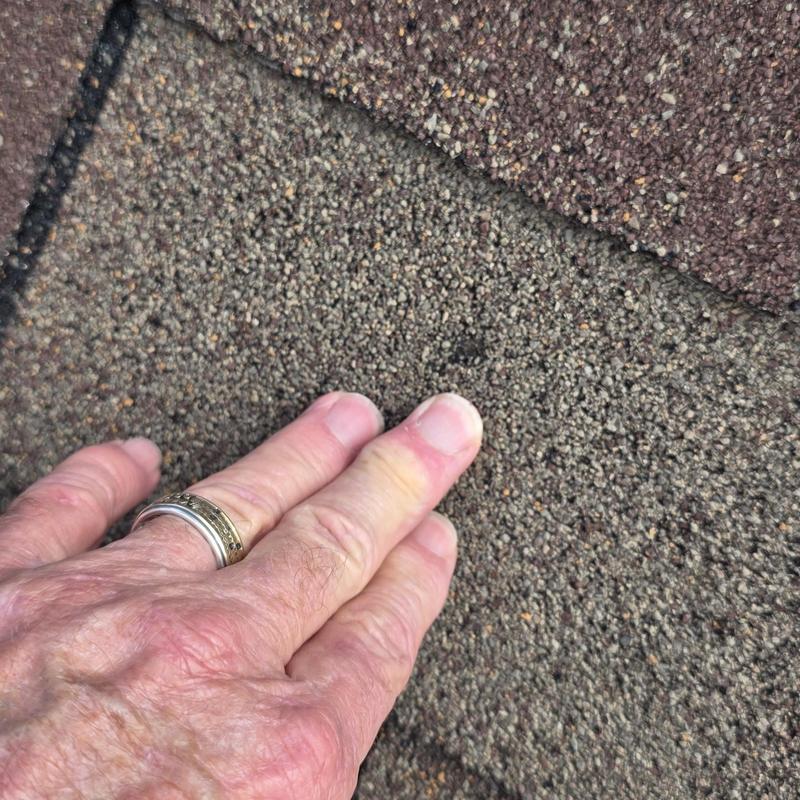 Asphalt shingles showing hail damage granule loss