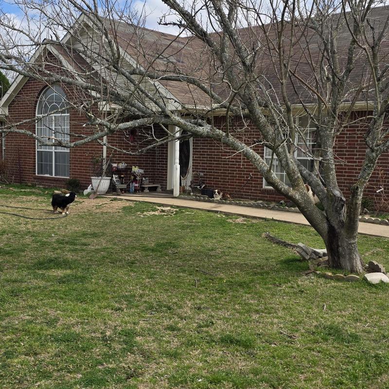 Roof shingles with hail damage on brick house