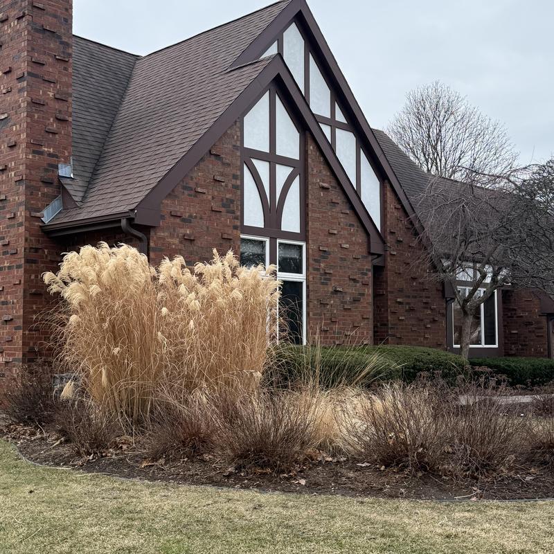 Asphalt roof and James Hardie siding on brick home