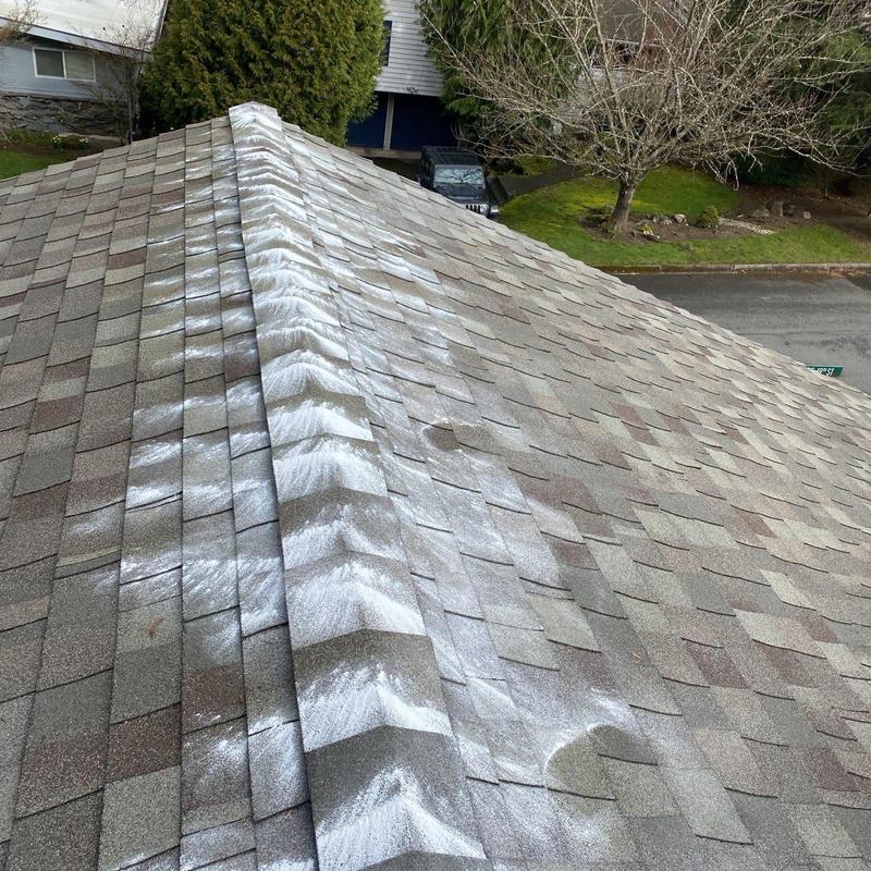 Asphalt shingle roof with moss treatment application