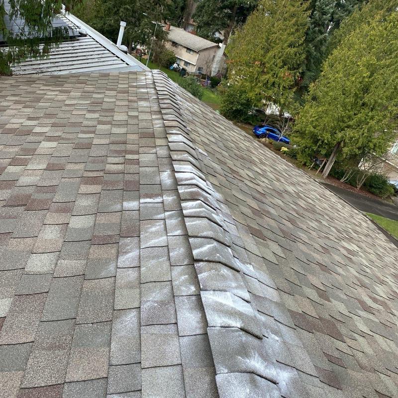 Roof shingles with moss treatment application