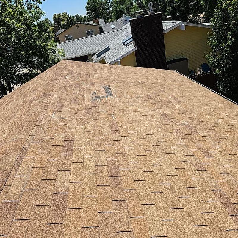 Shingle roof with wind damage and displaced shingles Shingle roof with wind damage and displaced shingles