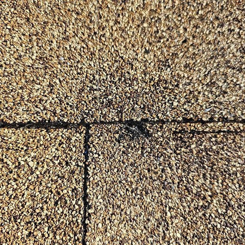 Asphalt shingle roof hail damage close-up detail Asphalt shingle roof hail damage close-up detail