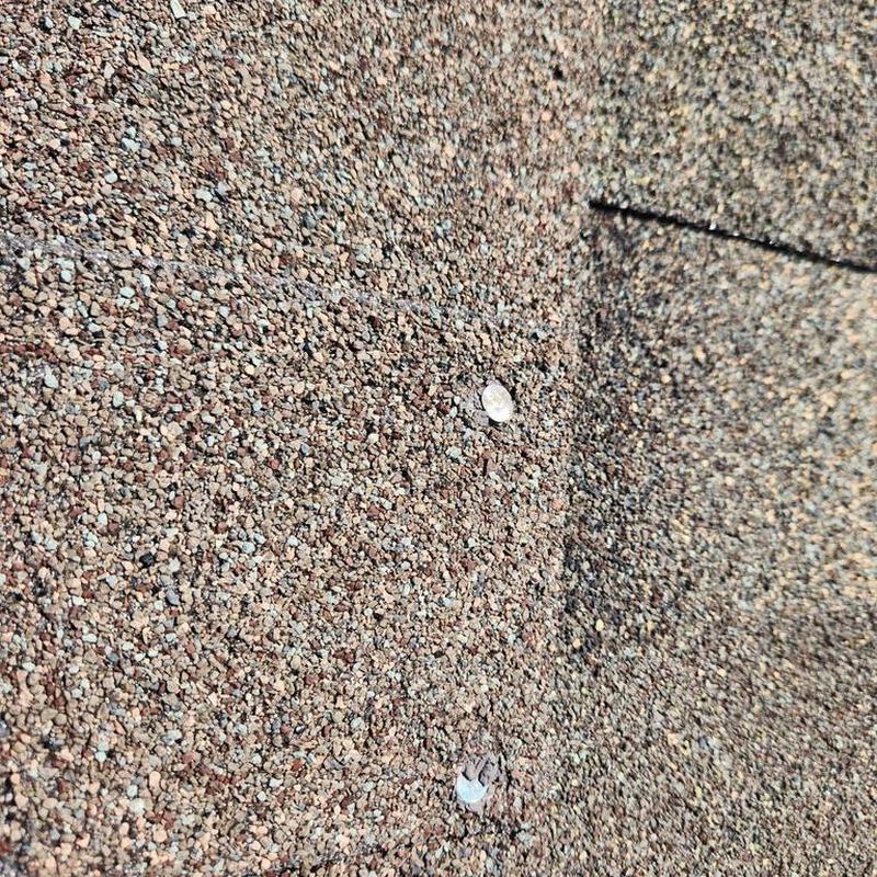 Roof shingles with exposed roofing nails close-up
