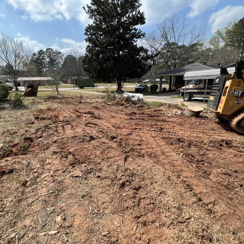 Tree removal site with heavy machinery and cleared ground Tree removal site with heavy machinery and cleared ground