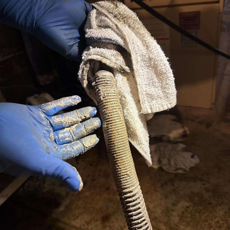 Sewer line hose with heavy grease buildup and roots