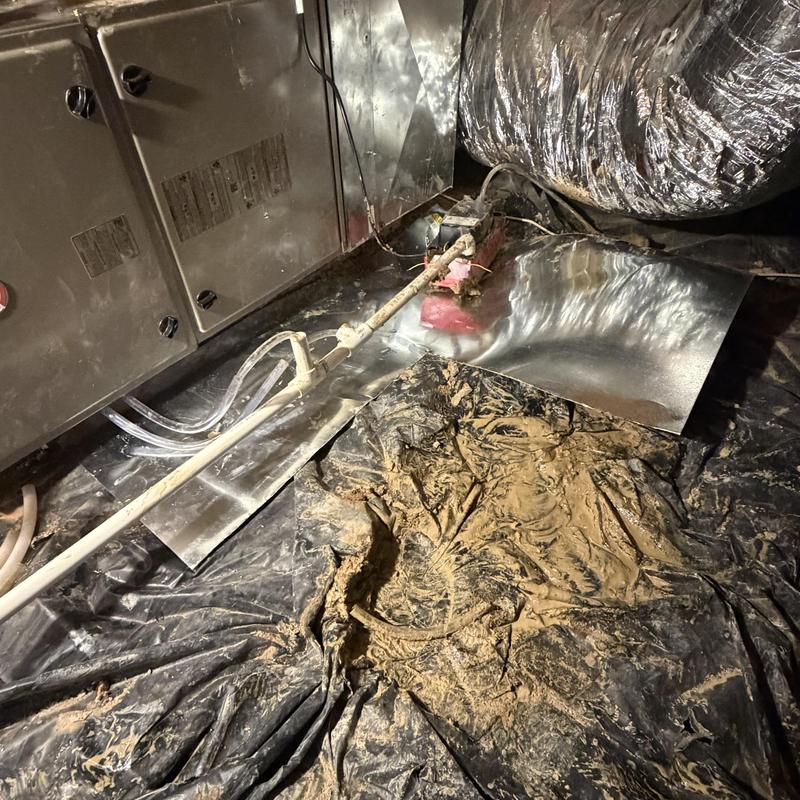 Humidifier installation with ductwork and wiring in crawlspace