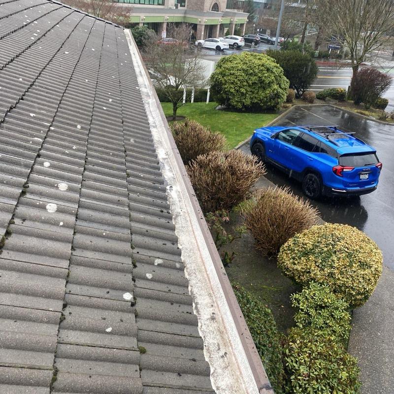 Tile roof with moss spots and debris buildup next to gutter