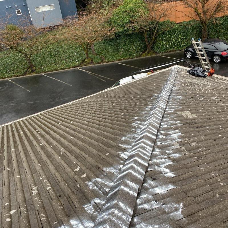 Tile roof with moss treatment and cleaning residue