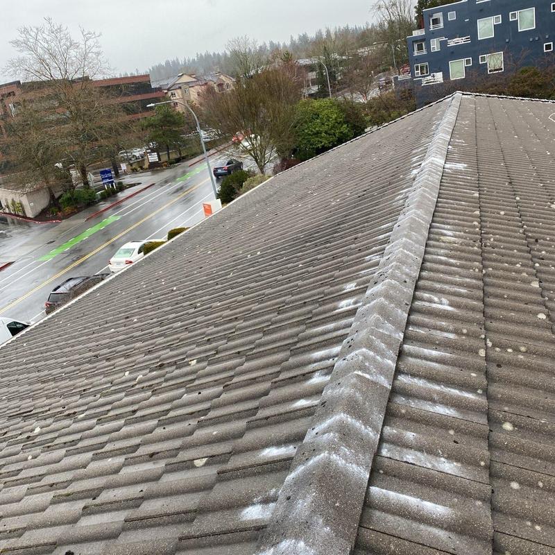 Tile roof with moss and debris before cleaning